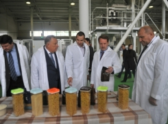 Под Воронежем никак не могут обанкротить макаронную фабрику