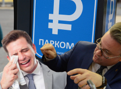 В Воронеже официально начали выписывать штрафы за парковку