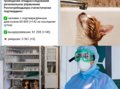 Коронавирус в Воронеже 6 июня: три смерти, три дома без воды и бесплатные лекарства