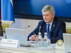 Александр Гусев поставил сроки на заполнение площадей воронежской ОЭЗ