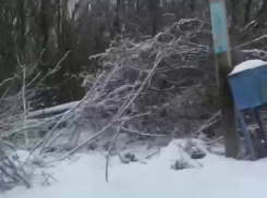 Равнодушие электриков на новогодних праздниках воронежцы сняли на видео