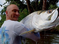 Воронежский СКР расследовал дело о подлоге на 100 млн после убийства в Коста-Рике