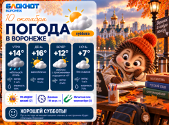 Отличное время для осенних прогулок: прогноз погоды в Воронеже