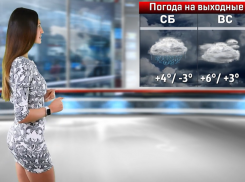 Антициклон и циклон с запада продиктуют погоду на последних выходных ноября в Воронеже 