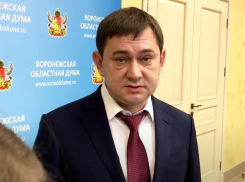 На деньги за минуту пиара Владимира Нетесова воронежский пенсионер может прожить 6 месяцев 