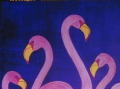 В Воронеж из Москвы привезли плакаты из серии «Птицы мира»