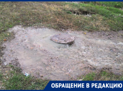 Зловонная река затопила воронежскую улицу после аварии