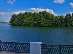 Стало известно, когда начнется проектирование моста на Петровский остров Воронежа