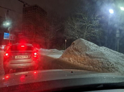 Именем воронежского чиновника назвали кучу на Ломоносова 