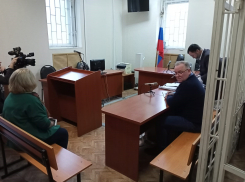 Двух фальшивых членов  «Единой России» обнаружили в суде в Воронеже