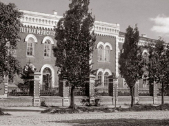 Губернская гимназия, располагавшаяся в красивейшем здании, 217 лет назад открылась в Воронеже 