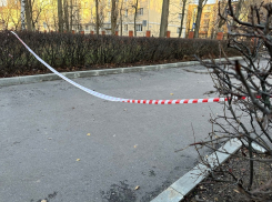 После «гранты» у школы воронежцам напомнили, как вести себя при обнаружении подозрительного предмета 