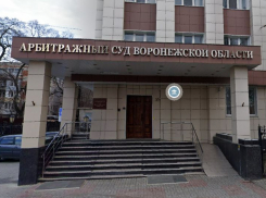 Верховный суд отказал воронежской судье Светлане Мальцевой в отмене уголовного преследования