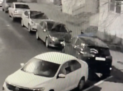 Прогрыз зубами: расследование инцидента с пробитыми колесами необычно закончилось в Воронеже 