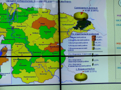 Больше всего на выборы пришли жители Аннинском районе 