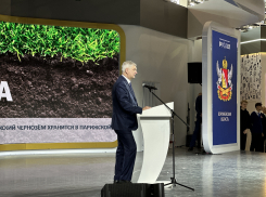 50 млн рублей собрали на Дне Воронежской области для одаренных детей 