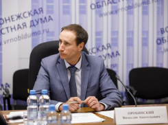 Министр лесного хозяйства Воронежской области Вячеслав Оробинский ушел в отставку