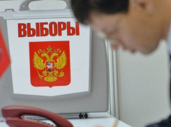 В Воронежской области начали работу горячие линии по нарушениям на выборах президента