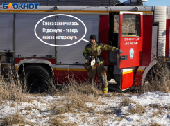 Впервые за 10 лет в Воронежской области не было ни одного пожара за сутки 