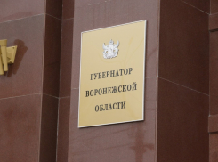 Александр Гусев переложил ответственность на следующих губернаторов Воронежской области