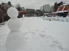 Бесплатный фестиваль «Ещё зима!» пройдёт на выходных в Воронеже