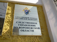 Воронежские следователи пока ни в чем не подозревают Шовкопляс