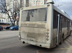 Мойдодыра на вас нет: воронежцы жалуются на состояние общественного транспорта