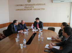 Воронежская область проваливает метановую реформу 