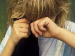 Житель Воронежской области будет лечиться за попытку изнасилования школьницы