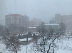 Безумная метель накрыла Воронеж: пробки, ДТП и тщетные усилия коммунальщиков