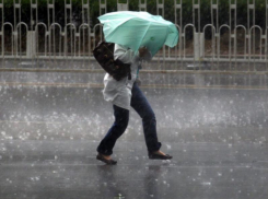 Штормовое предупреждение объявлено в Воронеже из-за ливня и грозы