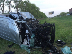Крупное ДТП произошло под Воронежем: 2 погибших и 5 раненых