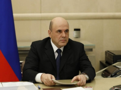Премьер-министр Мишустин отдал две воронежские больницы под борьбу с COVID-19