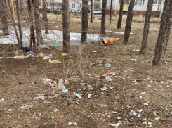 Мусорные метастазы покрыли «Электронику» в Воронеже