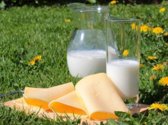 «Нальчикский молкомбинат», продукция которого представлена в Воронеже, делает ставку на работу в регионах