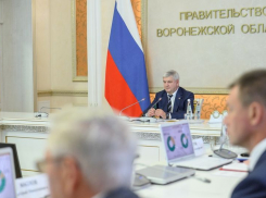 План по уборке зерновых и зернобобовых озвучил воронежский губернатор 