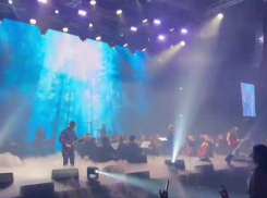 Массовый отрыв под культовую песню «Сектора Газа» устроили в Воронеже