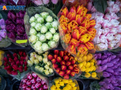 Опубликован план мероприятий к 8 Марта в Воронеже