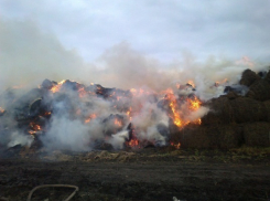 В Воронежской области огонь уничтожил более трех тонн сена