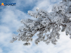 Морозы ударят с новой силой по Воронежу