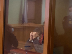 Обвиняемому в убийстве учительницы избрали меру пресечения в Воронеже
