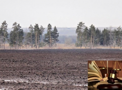 За махинации с чужими землями воронежский мошенник отправился на 4,5 года в колонию 