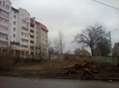Воронежцы потребовали благоустроить сквер имени героя Бородинской битвы