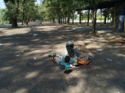 Воронежцы уберут берег водохранилища в рамках областной экологической акции