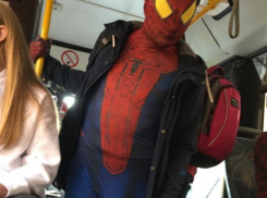 Человек-паук погряз в воронежской действительности и попал на фото