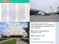 Коронавирус в Воронеже 14 июля: +117 новых больных, еще 185 выздоровевших и ковидные привычки