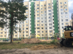 Война воронежцев и ДСК: Компания пытается срубить многолетнюю ель-спасительницу