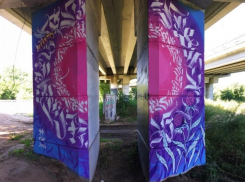 Чиновница неожиданно отреагировала на магическое граффити под Северным мостом