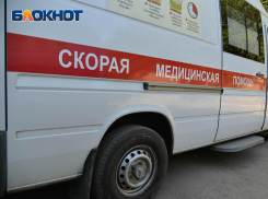 Нападение своры собак на школьника проверяет полиция в Воронеже