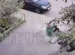 Об агрессивной собаке предупредили жителей Воронежа